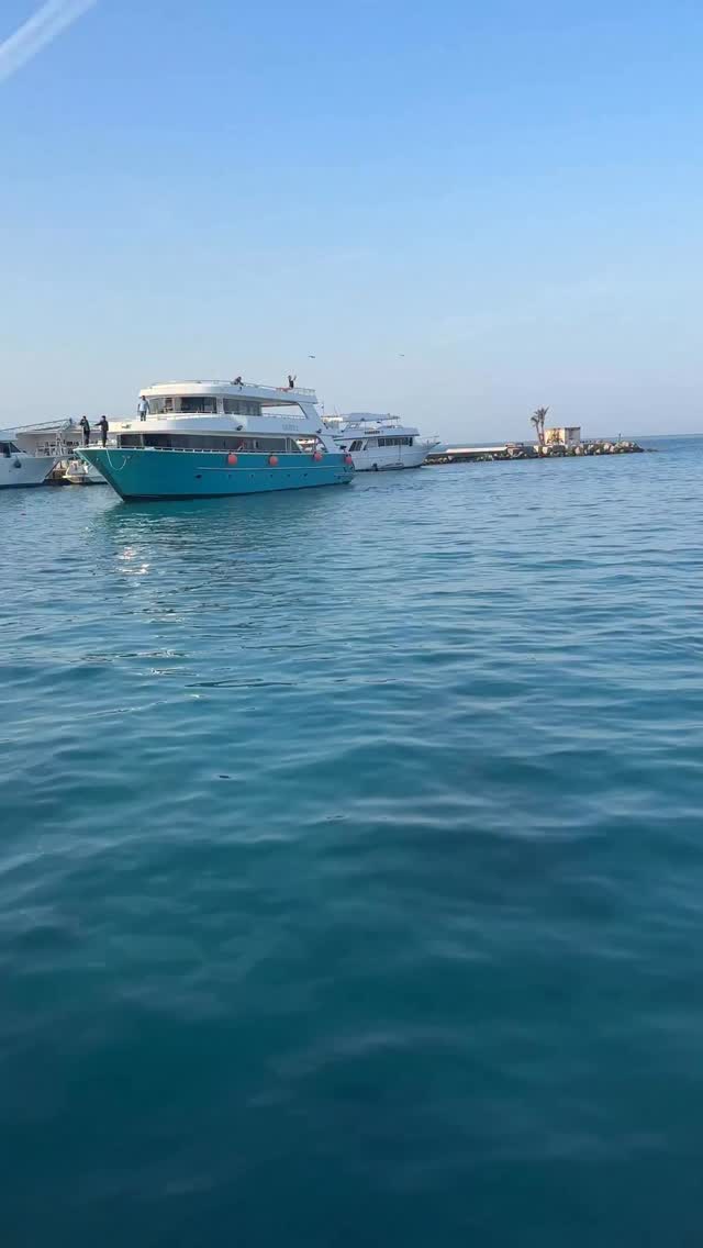 🏝️Egiptul nu e doar vacanță în resort și poze perfecte. E și lumea de dincolo de gard: străzi pline, agitație, praf, oameni care trăiesc altfel decât în reclame . Contrastele sunt uriașe — într-o secundă ești într-un loc superb, în următoarea te lovește realitatea.Dacă mergi în Egipt, mergi pregătit pentru frumusețe… dar și pentru momente care te pun pe gânduri.#Travel #egypt #resort #streetfood #bucatarmaniac