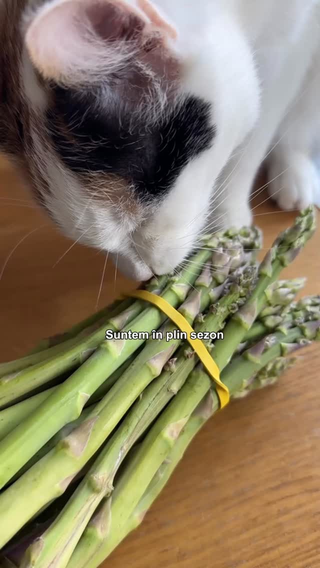 👉Suntem în plin sezon de sparanghel și e păcat să nu încerci omleta asta!
Are doar 3 ingrediente si e super gustoasă!
👉101 rețete cu ouă – epidsodul 11Ingrediente:
5 -7tulpini sparanghel
2 ouă
30 g telemea
Sare, piper
1 linguriță ulei de măsline
Urmărește-mă ca să nu pierzi nicio rețetă
Într-o tigaie încingi puțin ulei de măsline și adaugi sparanghelul, pentur maxim un minut. Îl scoți pe o farfurie și adaugi ouăle bătute.
Cnd marginile omletei ăncep să se desprindă, pui sparanghelul deasupra ș, adaugi telemeasau feta și o împături pe jumătate!
Simplu și delicios!
Calorii: ~300 kcal
Proteine: ~20 g
Grăsimi: ~23 g
Carbohidrați: ~5 g