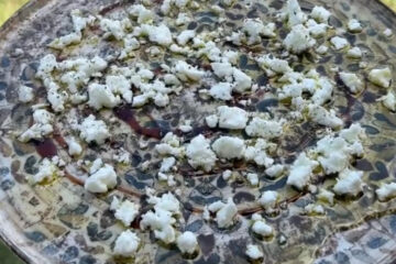 feta cu cremă balsamică